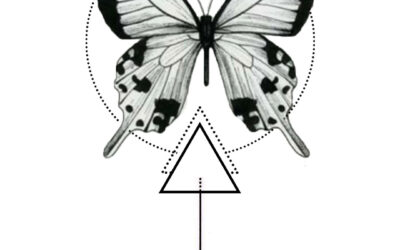 Butterfly CAD 500